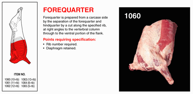 Forequarter