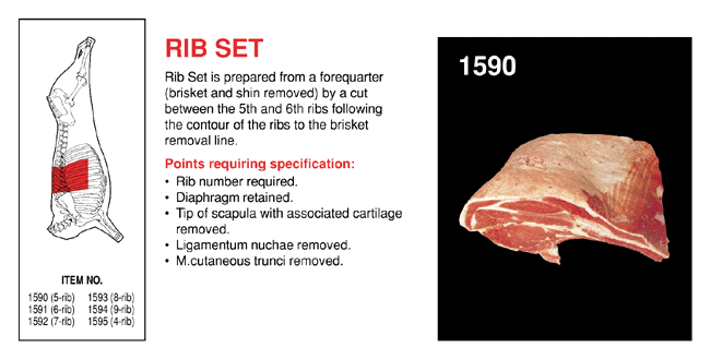Rib Set