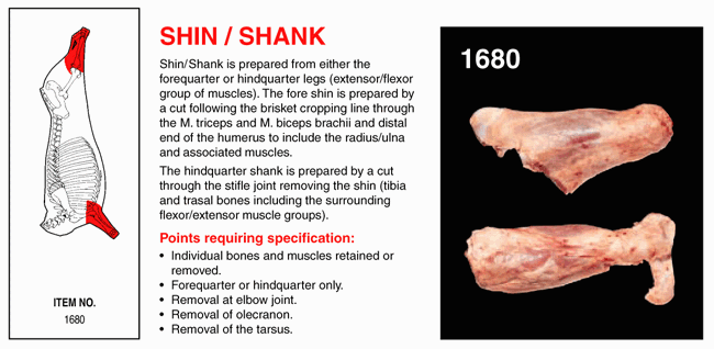 Shin/Shank