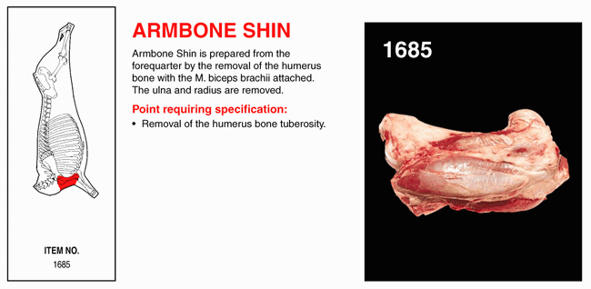 Armbone Shin