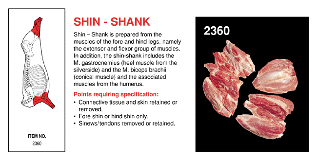 Shin - Shank