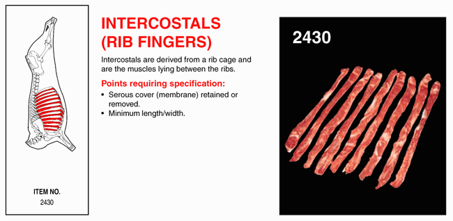 Intercostals (Rib Fingers)