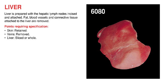 Liver