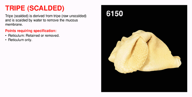 Tripe (Scalded)