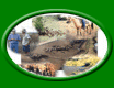 Livestock Page